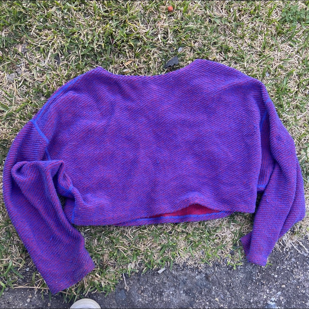 Urban Outfitter Purple Long sleeve crop top